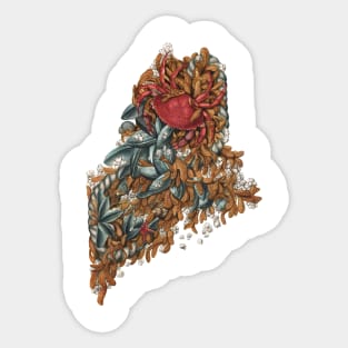 Maine (intertidal zone) Sticker